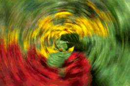 Don't Hold That Camera Steady--Move It!